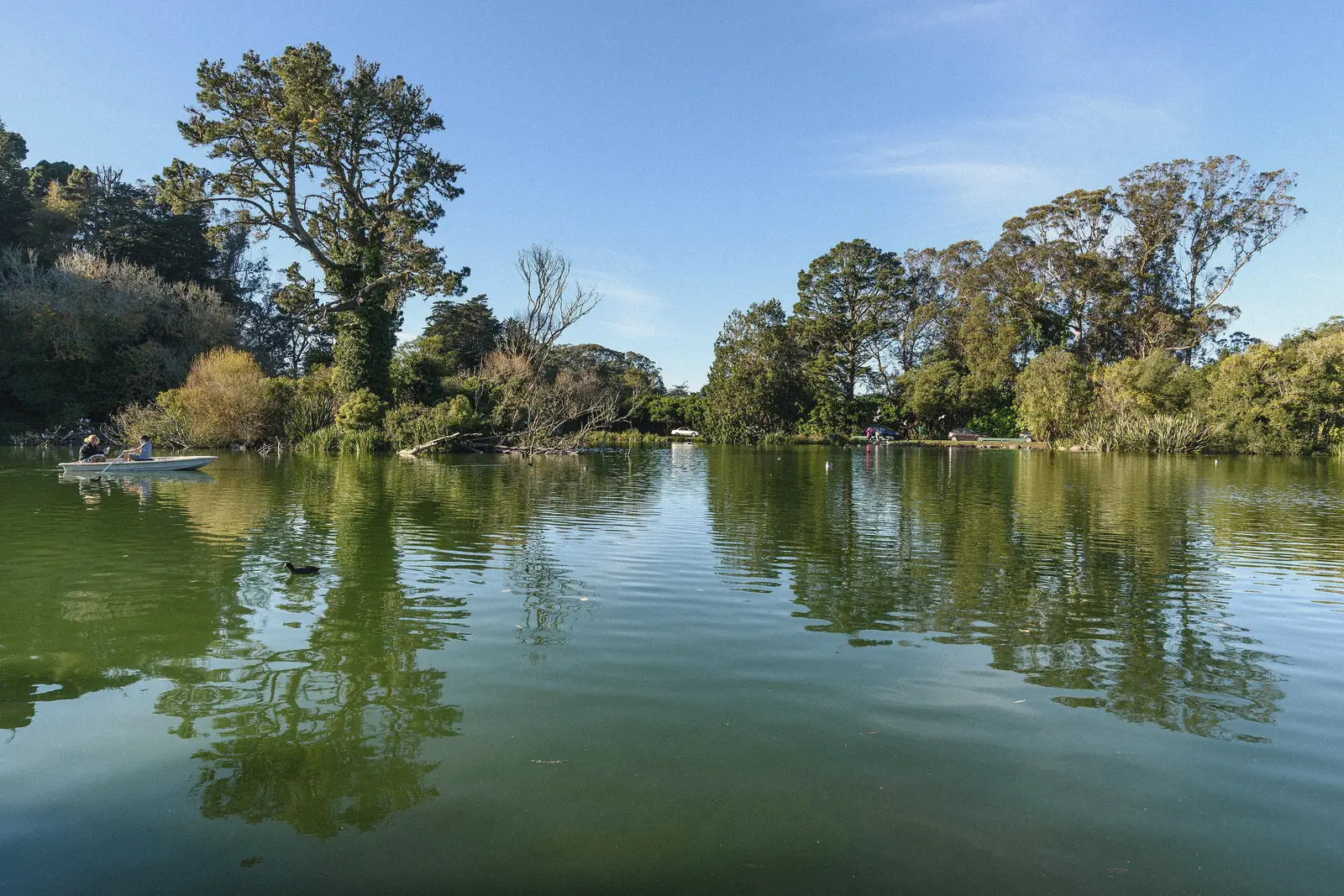 Photo of calm water and trees at Stow Lake in Golden Gate Park